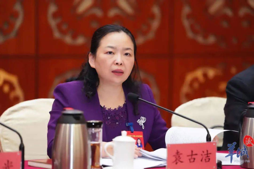 贵州人袁古洁已任广东省委政法委书记_研究生_中共_市政府