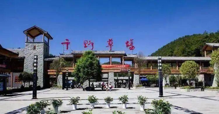 【夏日狂欢】35元享千野草场门票,周末节假日通用,超长核销期!