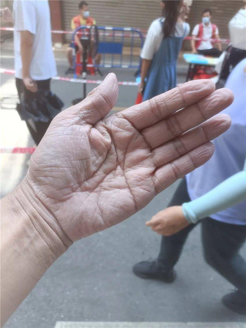 图集连州这双手刷屏了千名医务人员的48小时