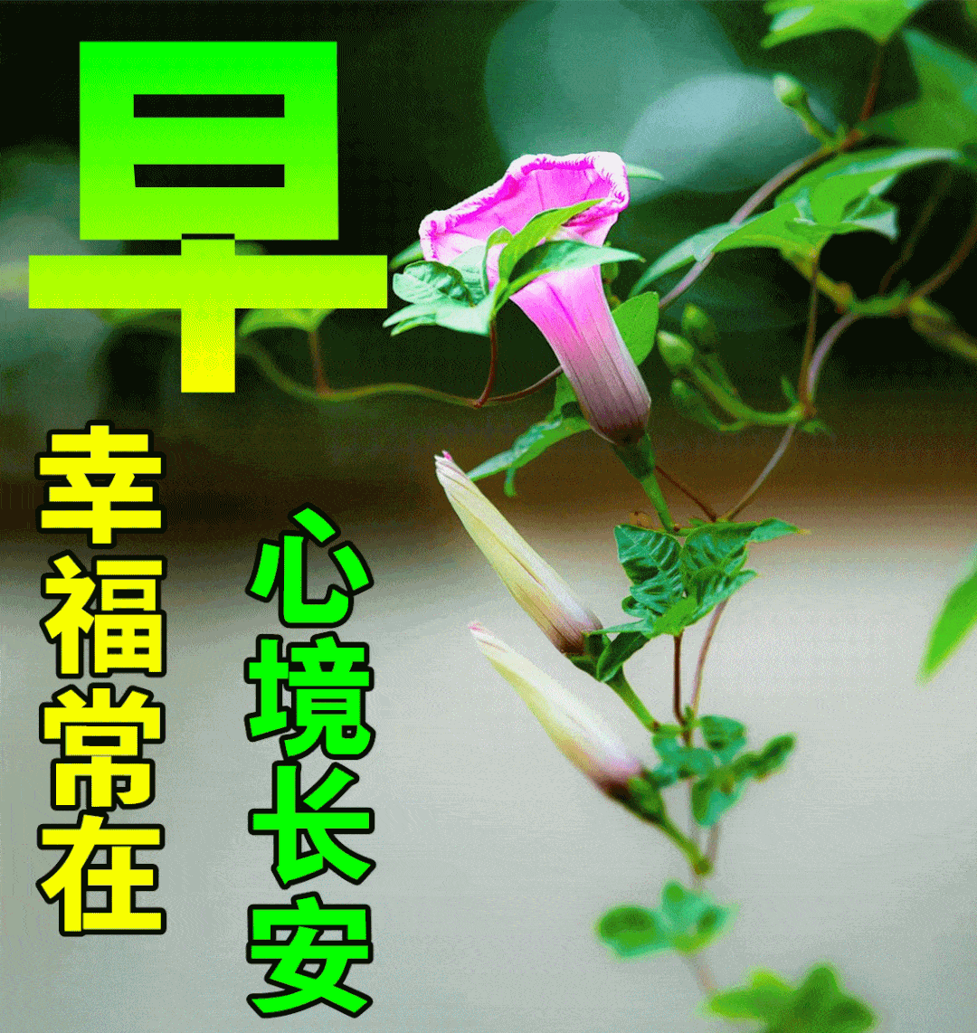 7月15日最新入伏早上好祝福动态表情图片大全,入伏早上好问候语句子!