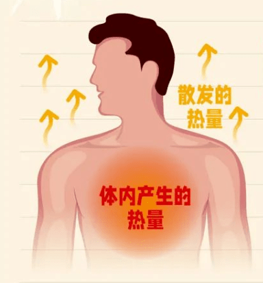 当长时间处于高温下,人体产热和散热失去平衡,导致体温调节障碍,汗腺