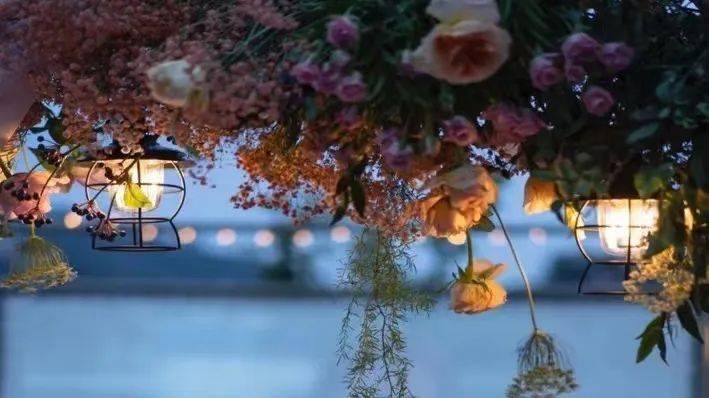 厦门这片森林乌托邦 ,堪称避暑宝藏地,看山观海,不