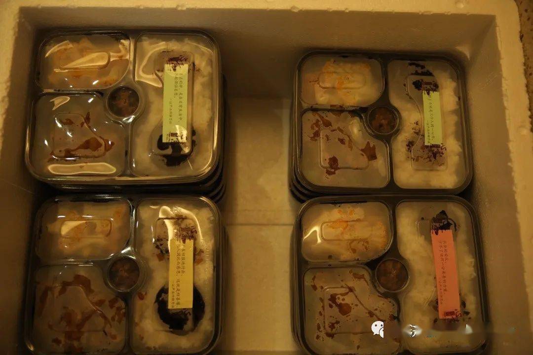 我叫范溦恩,小名恩恩!生日办素宴是我们家的传统.