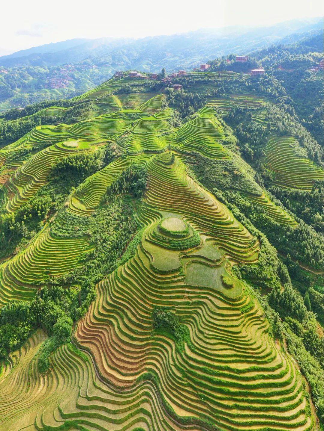 中国的梯田太美了