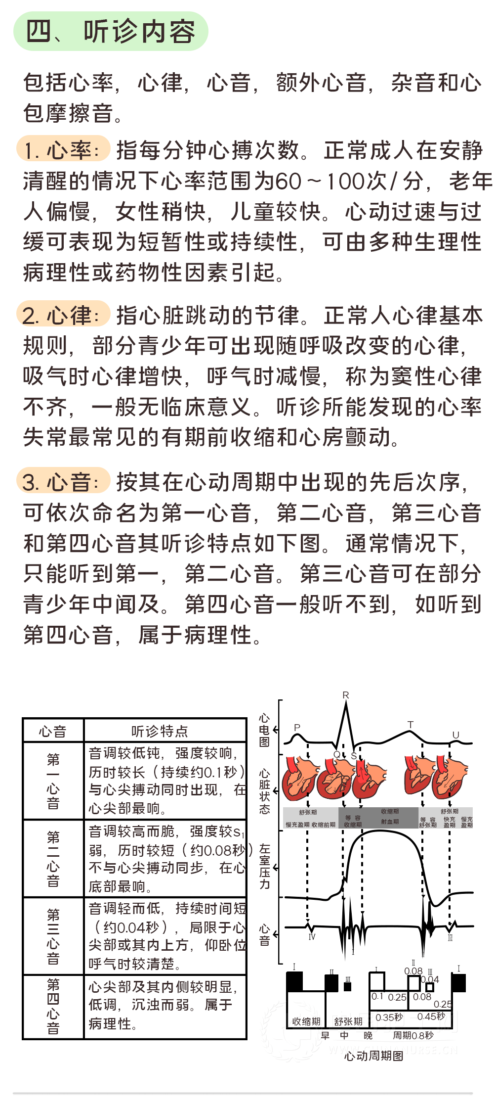 漫畫心臟聽診的部位和心音辨別