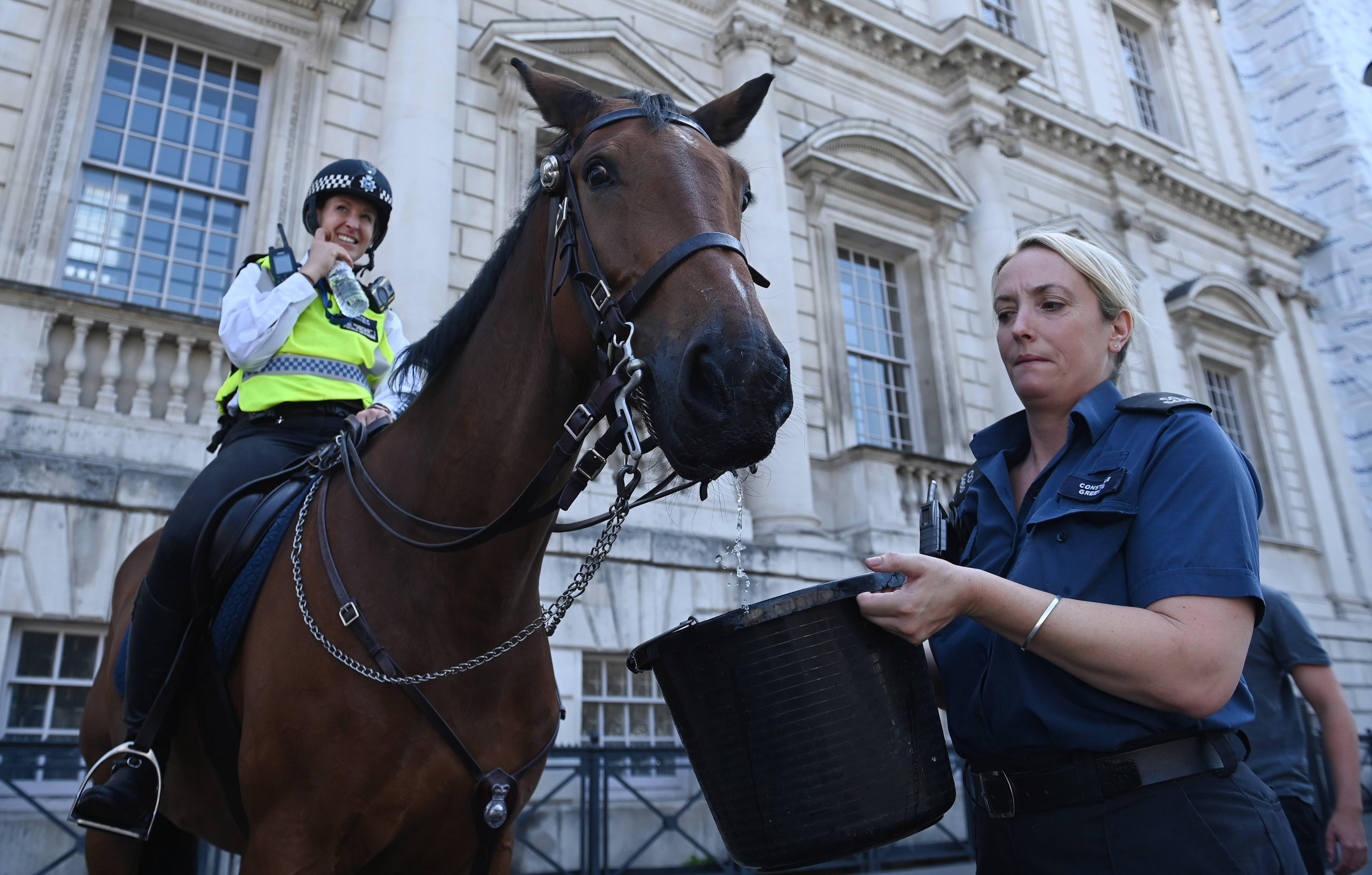 新华社照片,外代,2022年7月19日7月18日,在英国伦敦,一名骑警喂马喝水