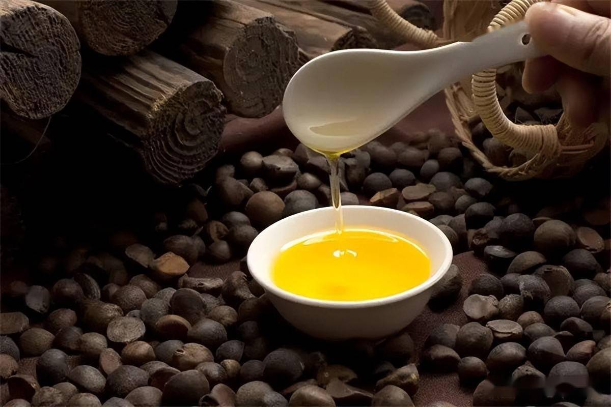 茶油_油茶_产量