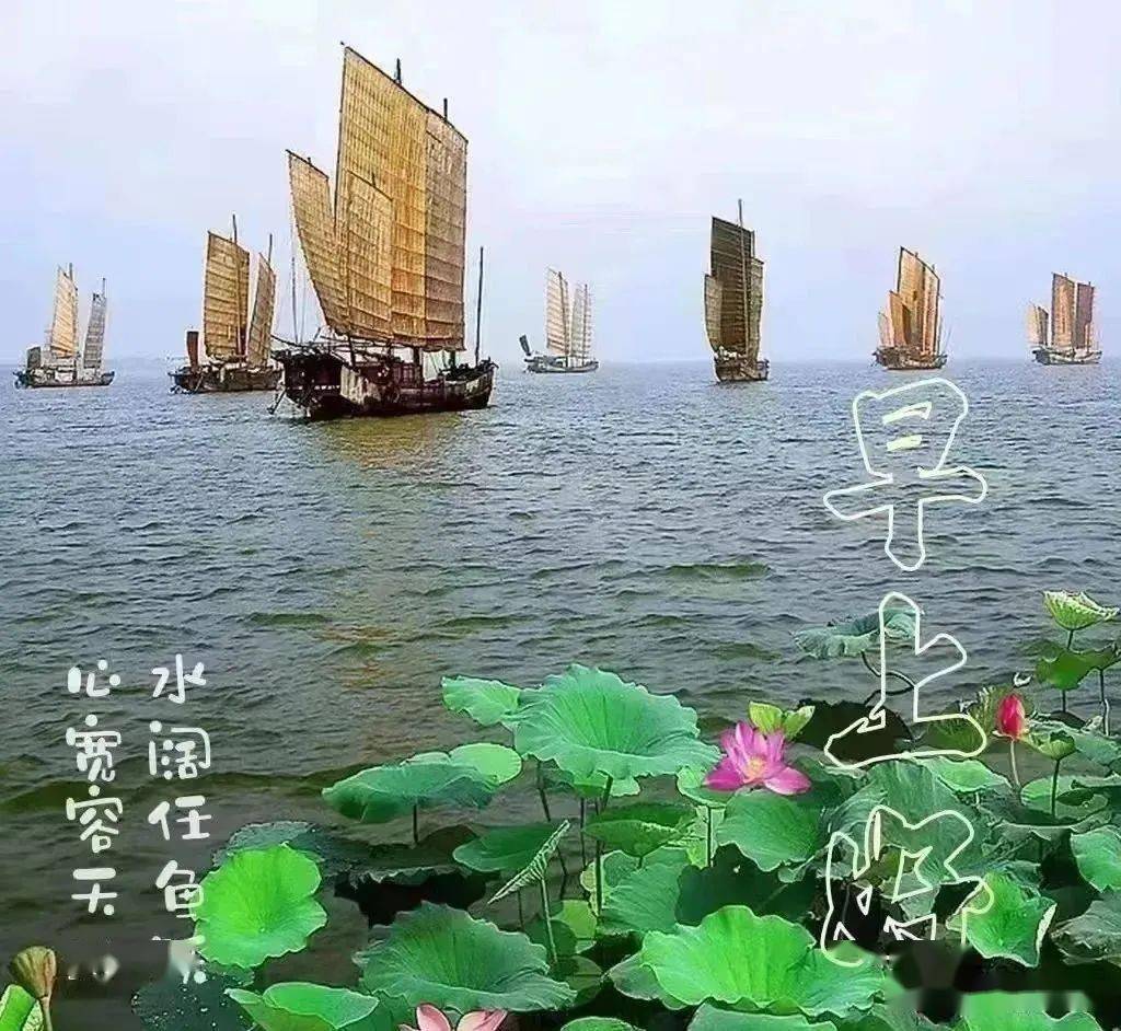 非常好看的夏天唯美温馨的早安图片带字 早上好问候语温馨图片带字