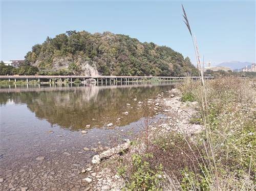 沙头水色静 野渡孤舟横