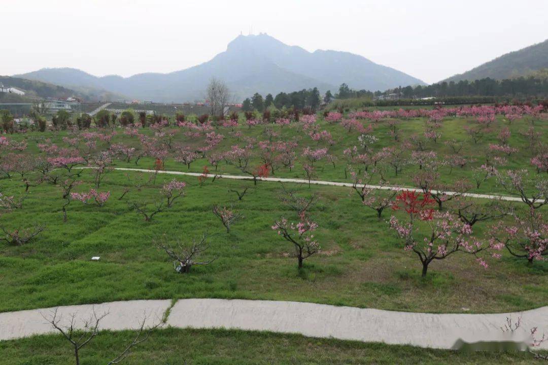 【大美确山61出彩有你】瓦岗镇:初心使命解民忧 "瓦岗三宝"美名扬