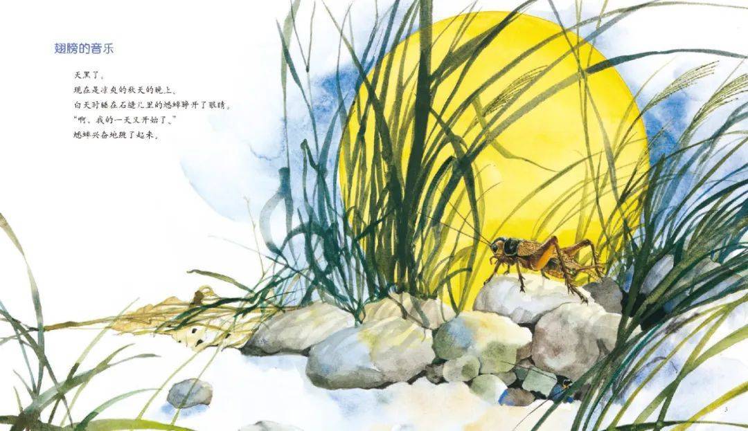 法布尔是如何对天地万物和生命葆有一生的热情与好奇的