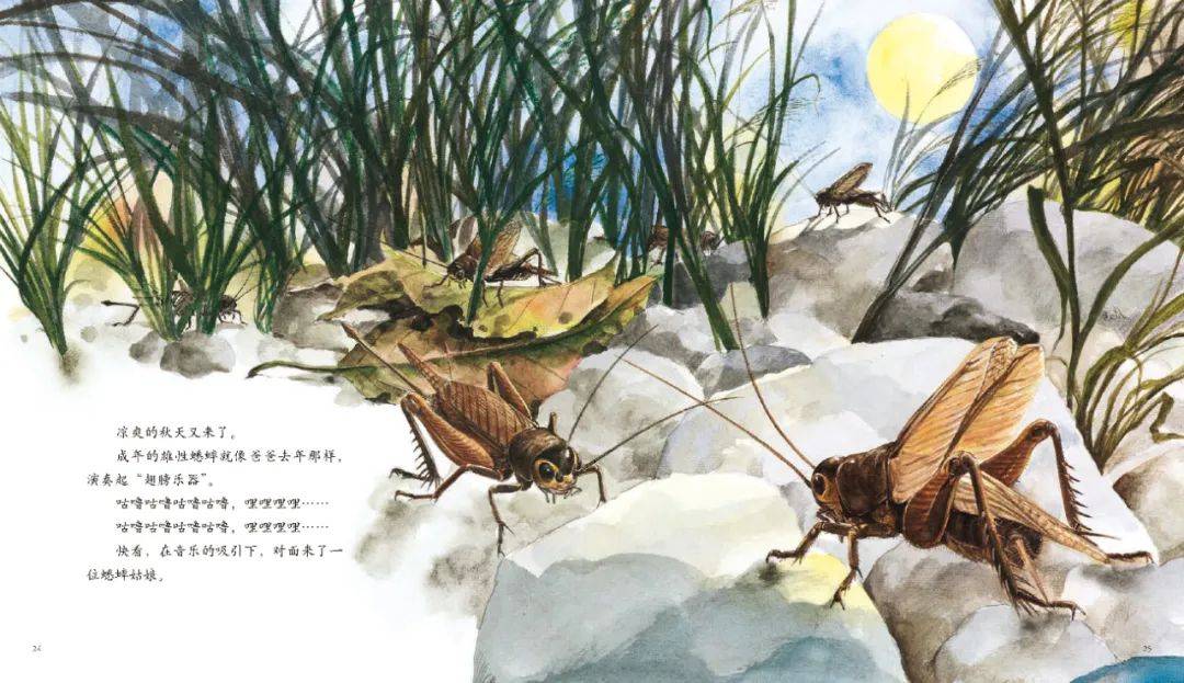 法布尔终于拥有了一座他朝思暮想的荒石园
