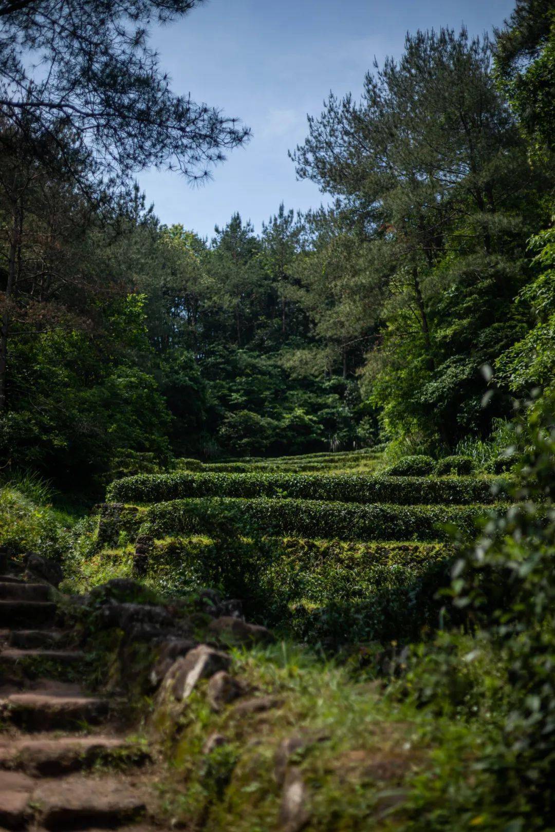 山场说马头岩一片未凿的天真