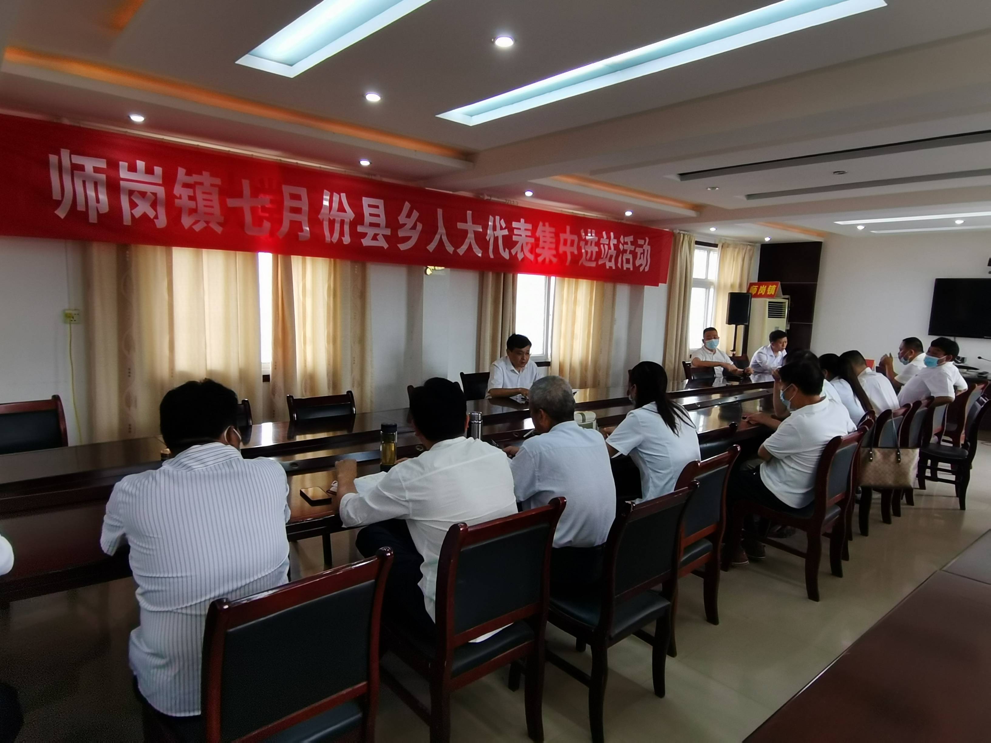 内乡县师岗镇人大组织开展代表集中进站履职活动