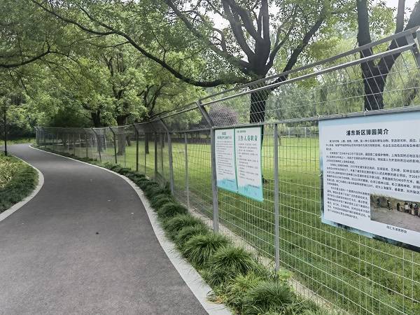 浦东新区率先建“生态档案”,一棵树、一只獐,都要温柔以待_林长_公园_宋宁华