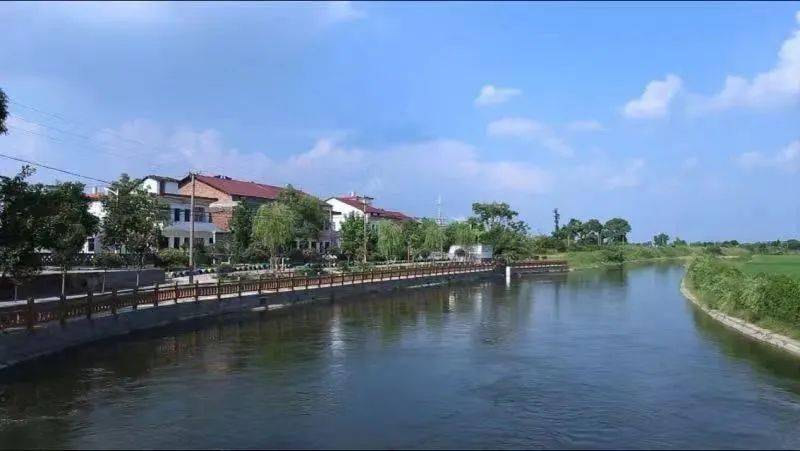 村党支书谈发展花田村一步一脚印共绘花田梦