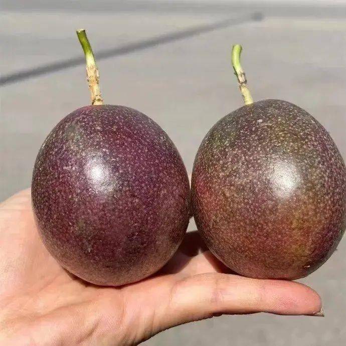 夏日必备仅329元购高山紫香一号百香果中小果带箱5斤装约55个水果界的