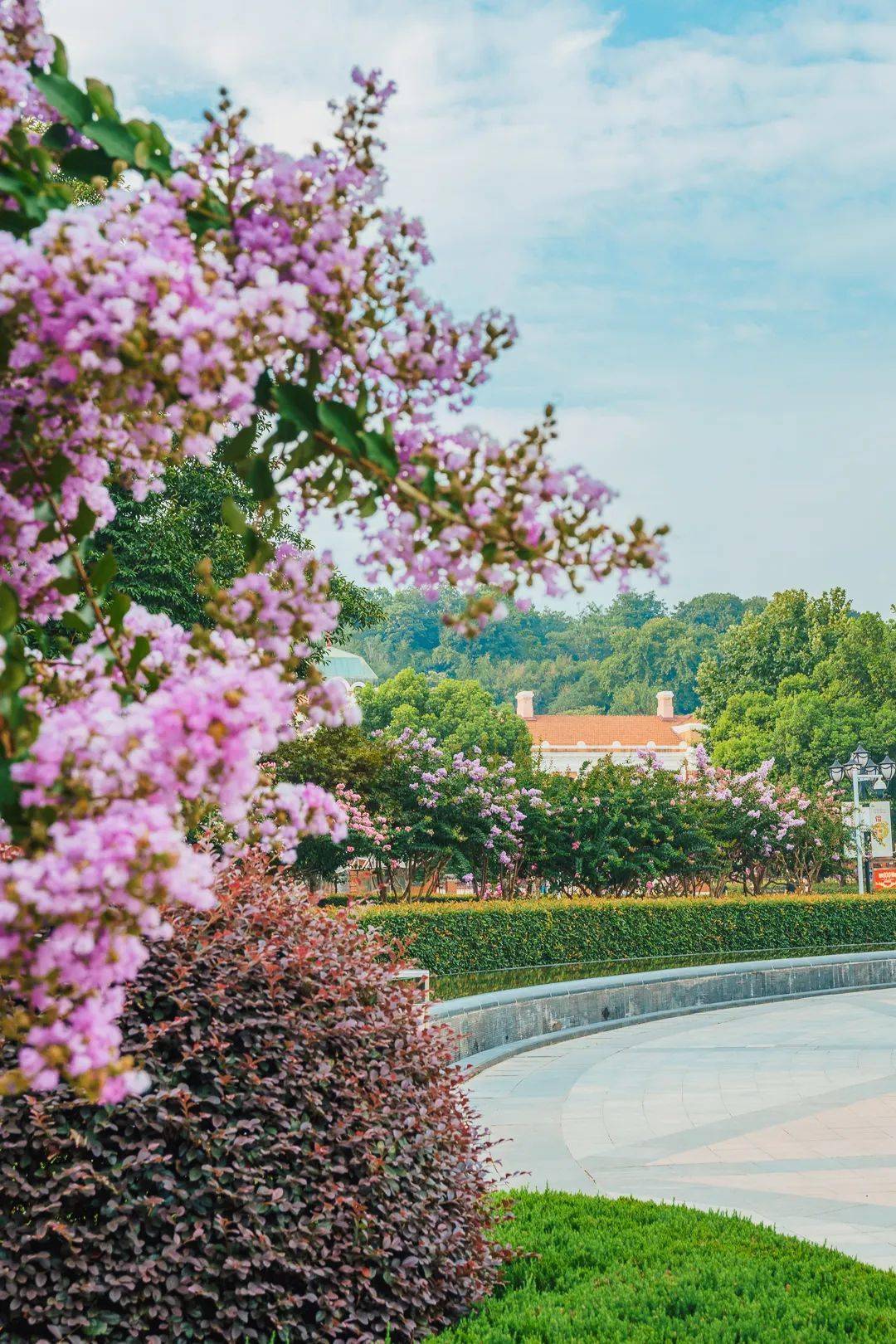 龜山公園,堤角公園,墨水湖公園,和平公園,戴家湖公園,武漢園博園的