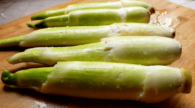 舌尖上的水八仙陆续上市啦