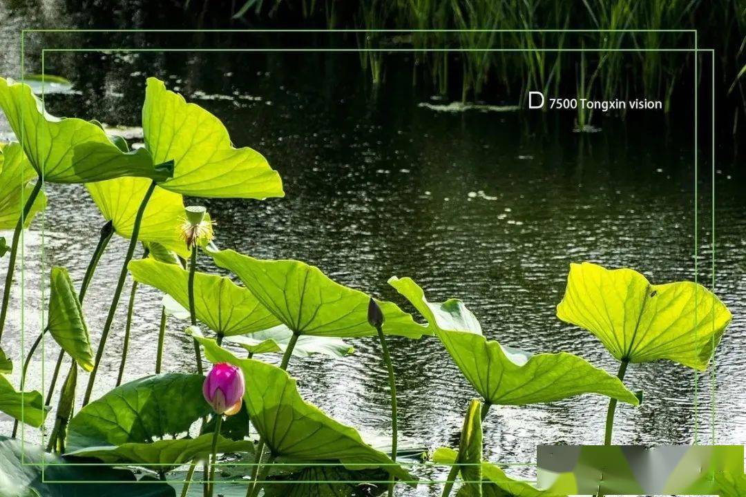暮雨停了,我伴着湿漉漉的空气,离开了.细雨虽然短