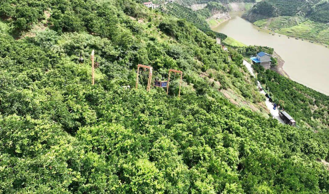 亮故事轨道索道进果园夏橙出山稳当当