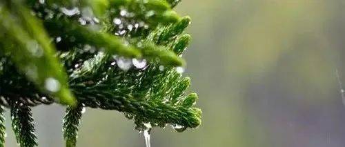 夏天的雨，飒爽的雨_天都_朱伟_说法