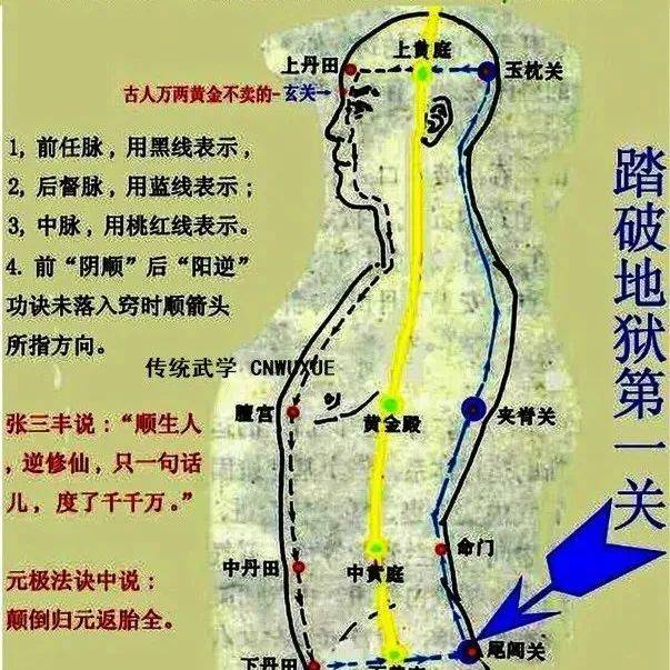 意通任督二脉过程_丹田经_任脉_现象