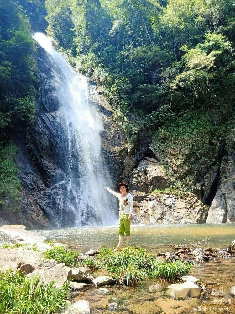 跟随这群沙县虾到夏茂避暑去哇凉快