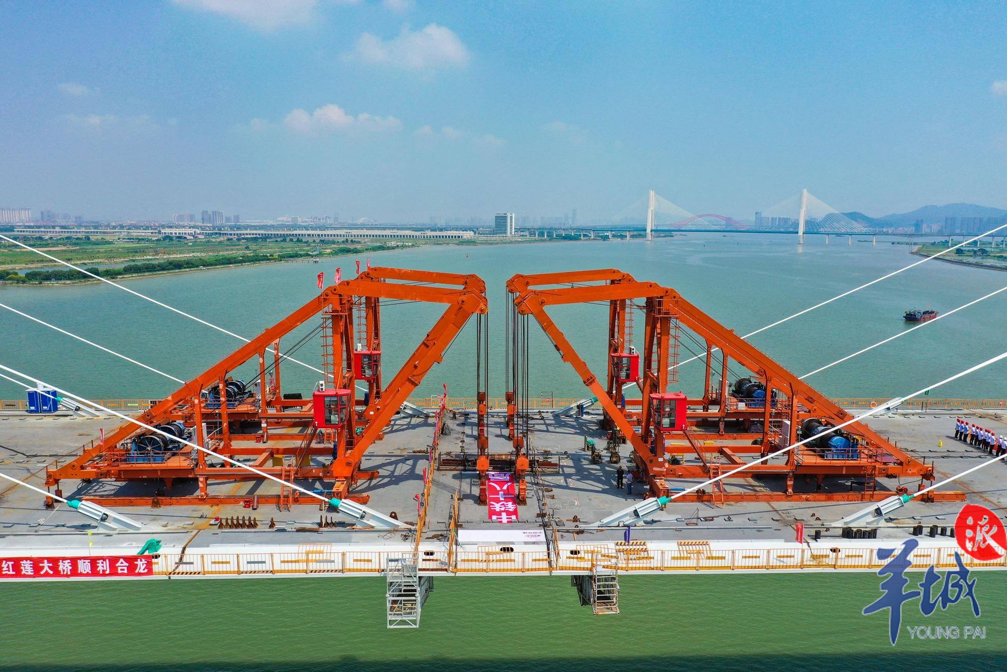 视频广州南沙最高市政桥梁红莲大桥正式合龙