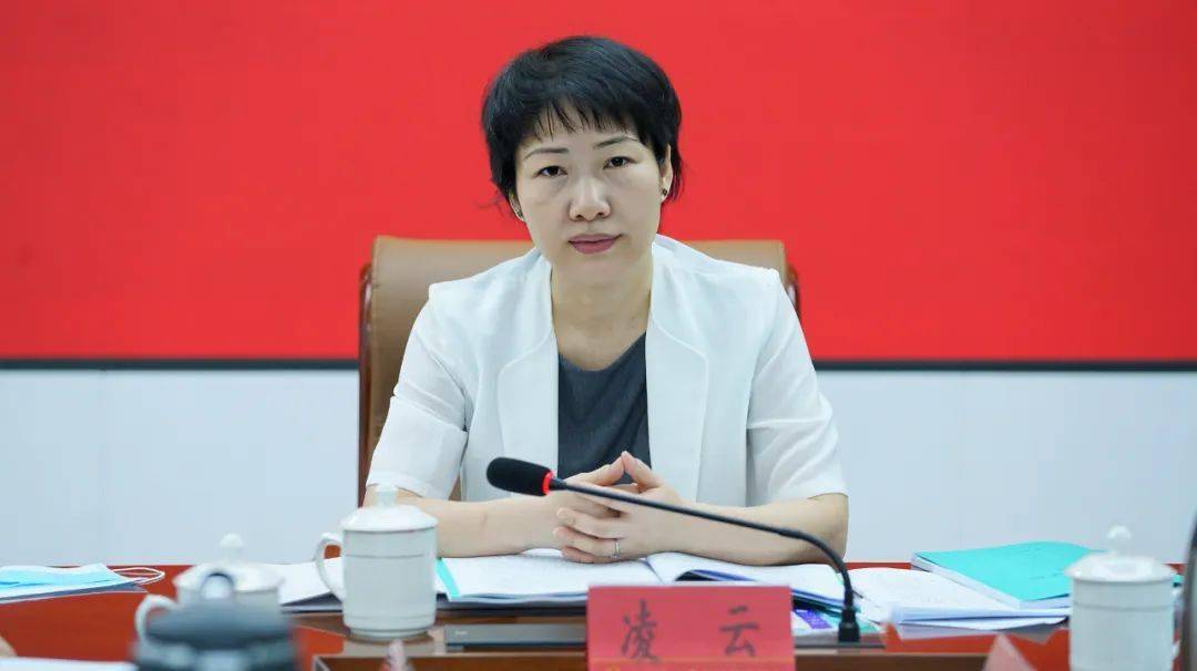 凌云:按下项目建设"快进键" 奋力跑出项目建设"加速度"_屯昌_发展
