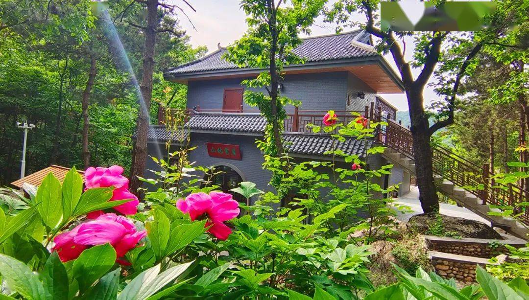 24℃的木札岭,开启避暑清凉模式!_山林_度假区_儒林