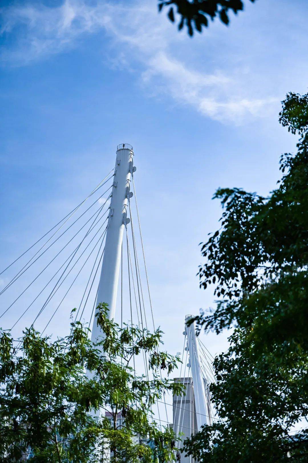 栖云桥福安打卡新地标上线