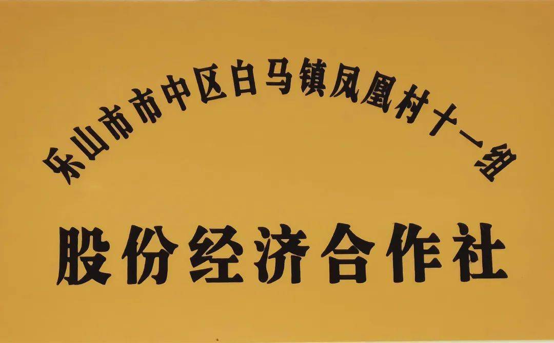 乡村振兴市中区首个组级股份经济合作社正式挂牌成立
