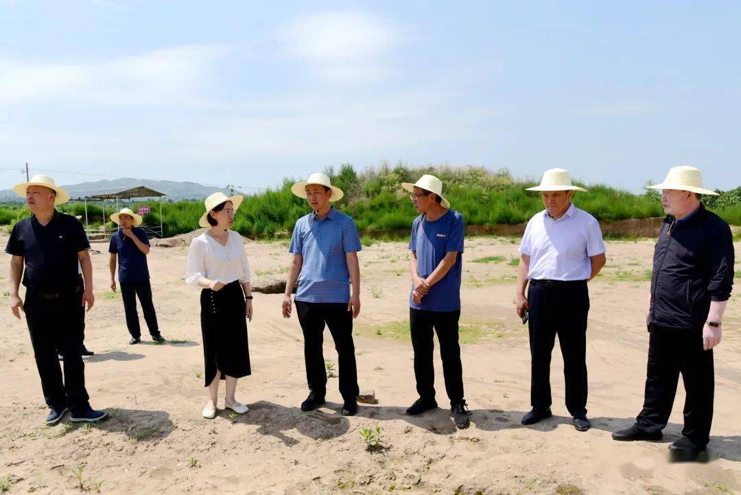 白雪冰在我县调研文物安全及保护利用工作