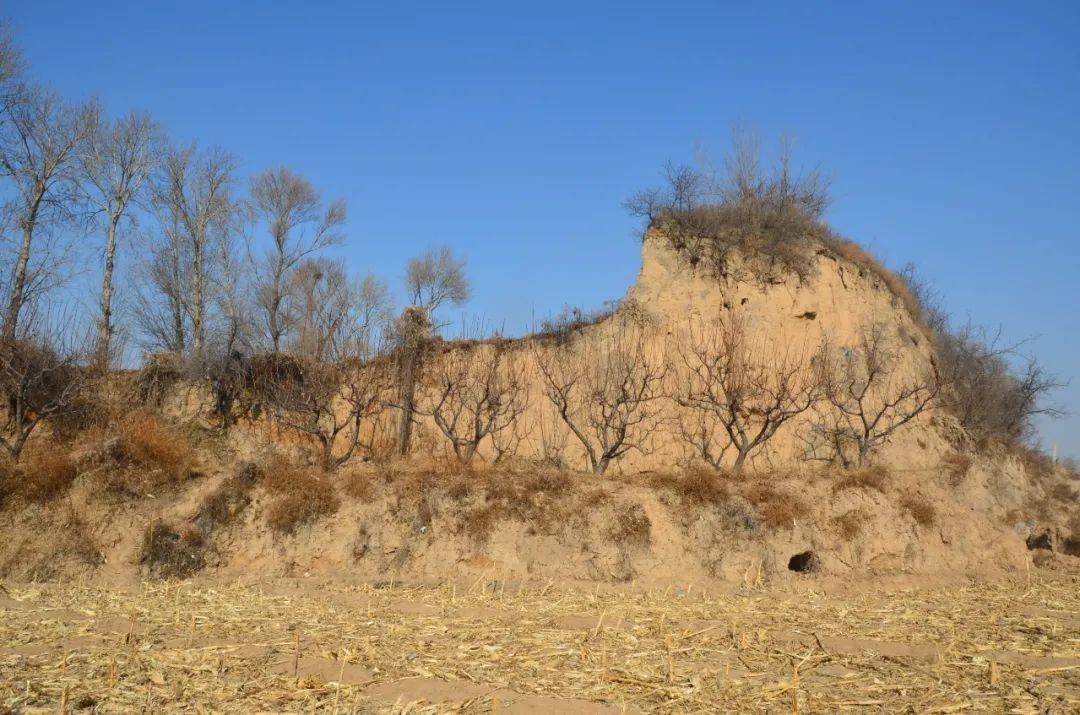 正说"崞阳古城"之二十五:元代城墙有圆弧形转角_原平_视频_城池