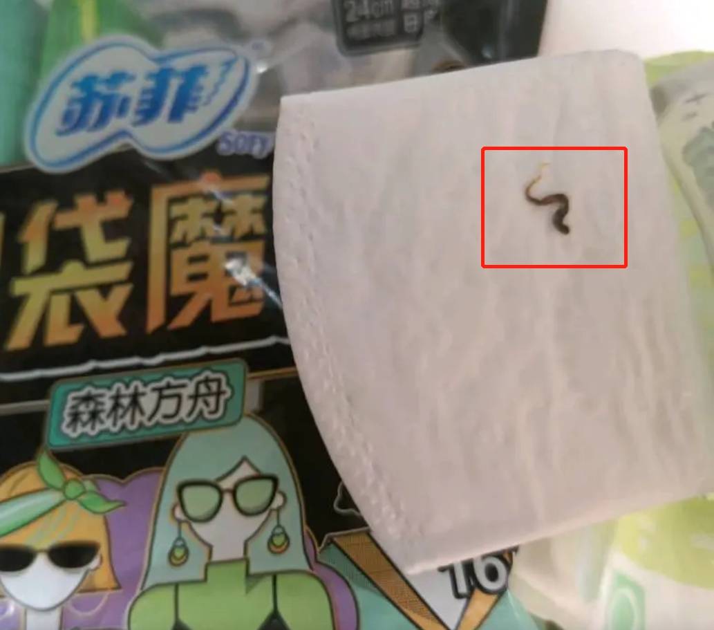 当事人:正在与苏菲官方沟通处理_苏菲卫生巾被曝有虫子尸体_女士_新闻