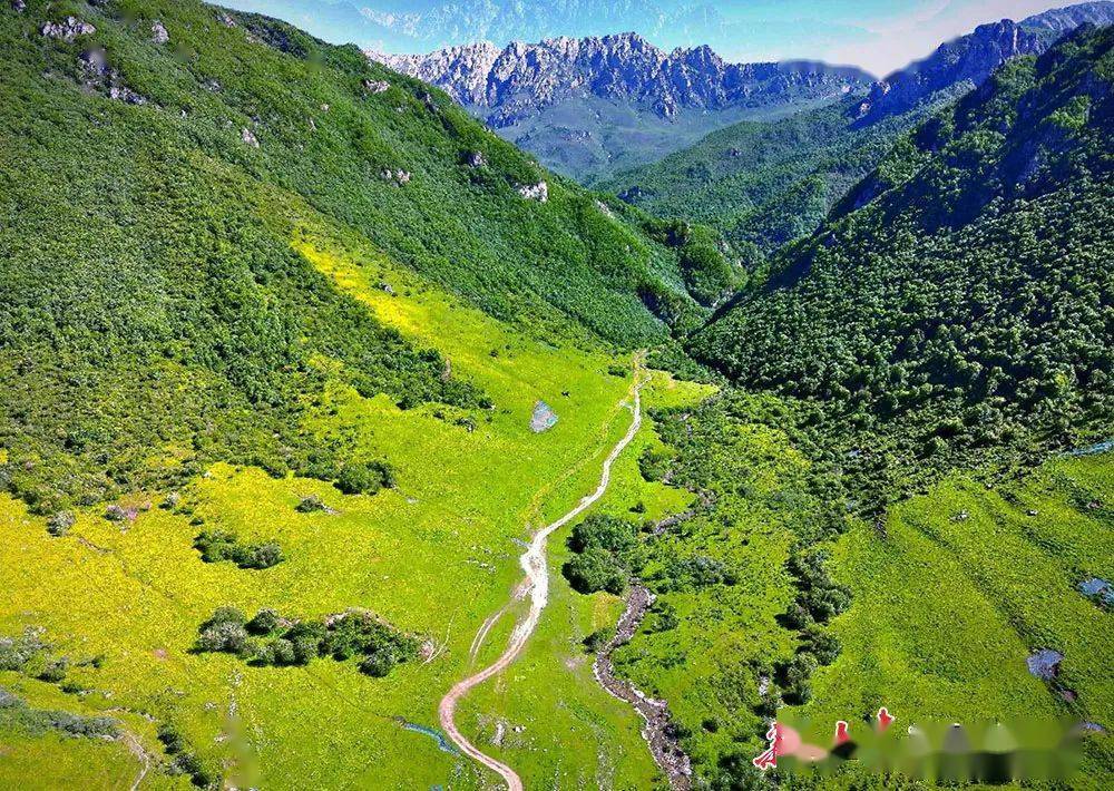 盛夏,定西市渭源雙石門,露骨山疊影,溪流蜿蜒,苔蘚草綠,野蜂飛舞,黃崖