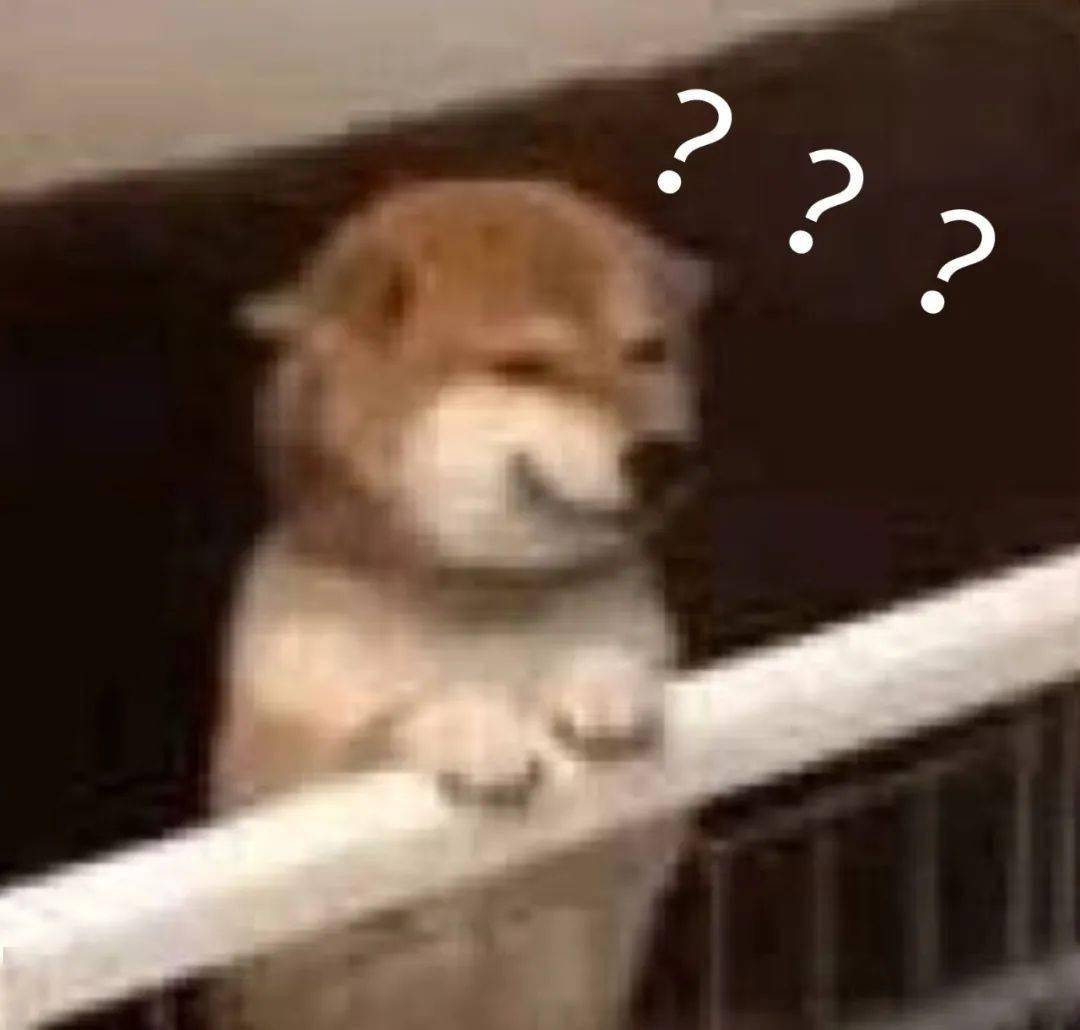 当留学生遇上坡式英语，你听得懂meh？_搜狐网