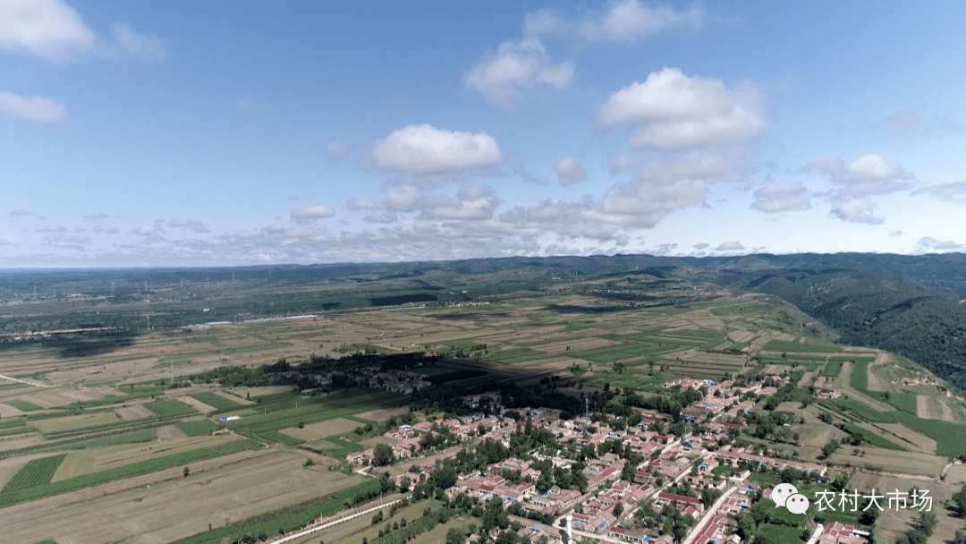 支部挂帅强引领,抱团发展拓市场,村企合作双增收,咸阳市永寿县甘井镇