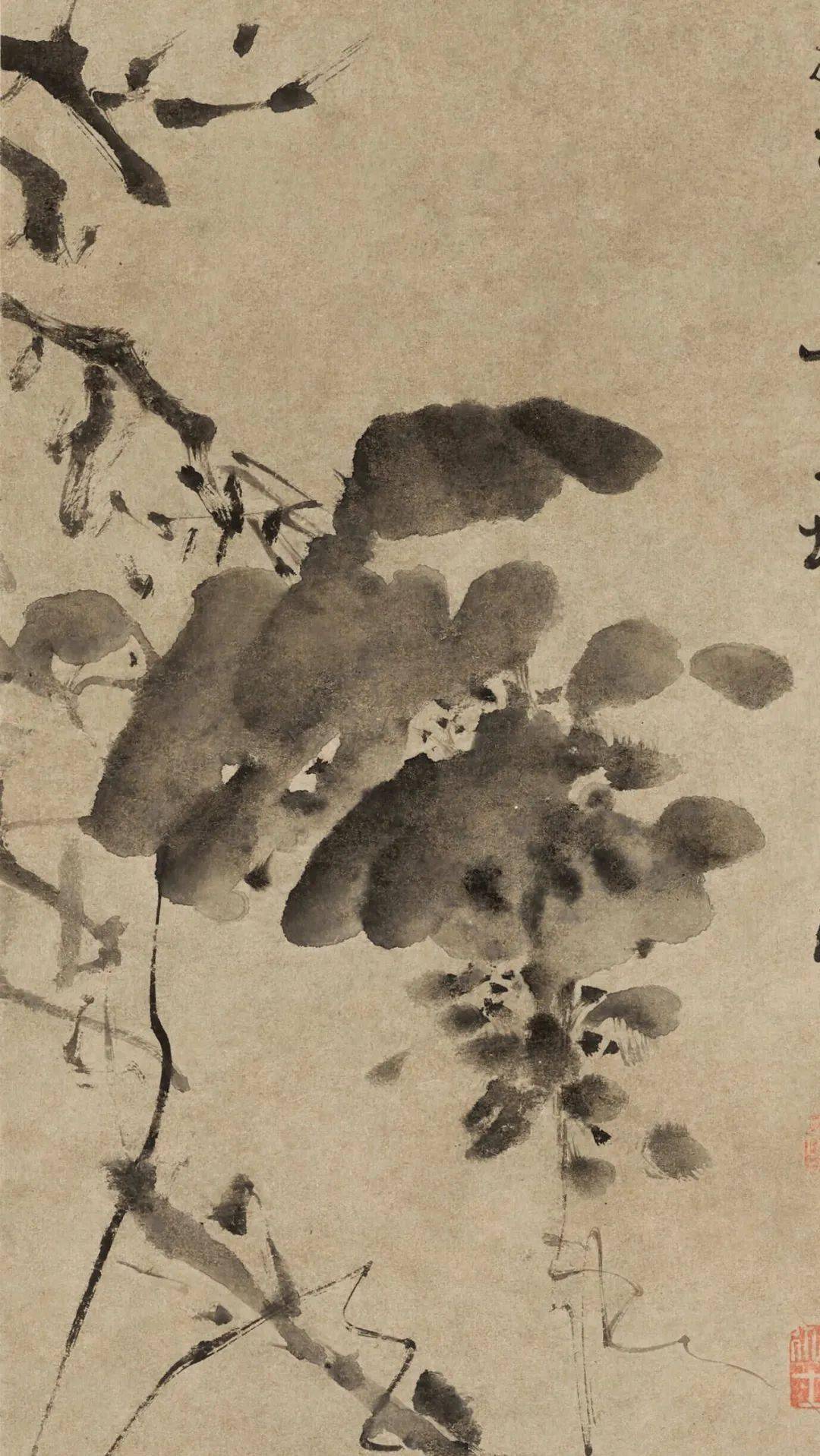 赏画| 徐渭《墨葡萄图》