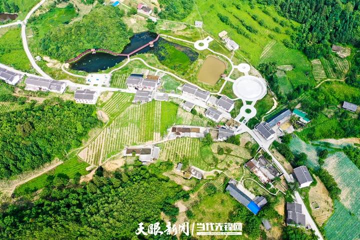 大方县“三聚焦”建设“美丽家园”助力乡村振兴