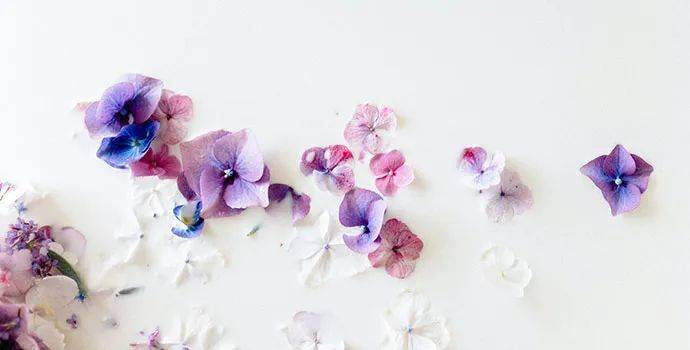 名师讲坛性本善与性本恶所导向的文化博弈_吕乃基_哲学_人性