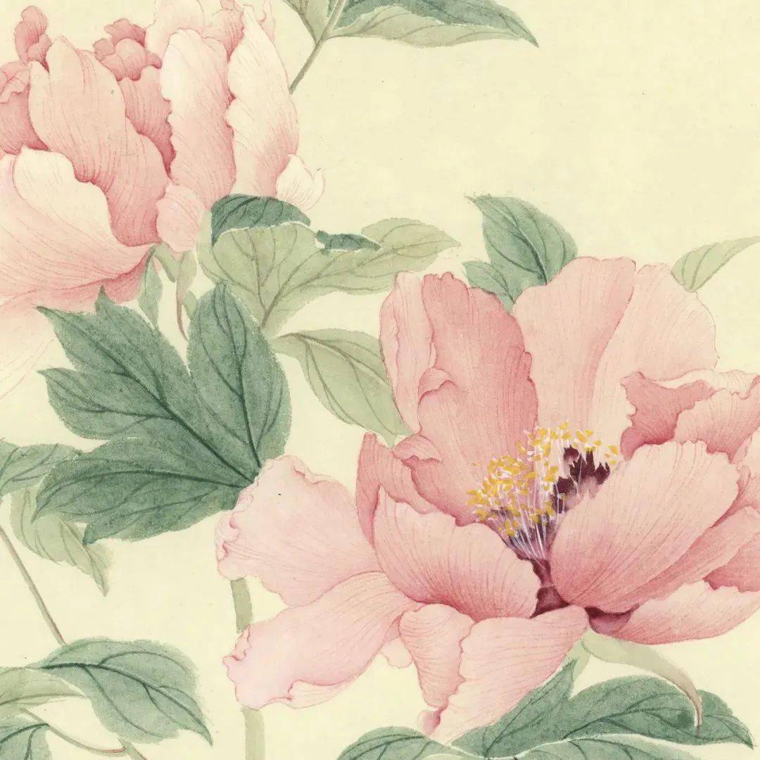 【艺术世界】雒文娟的花鸟画笔墨细腻,清雅不俗_绘画_画面_宋元