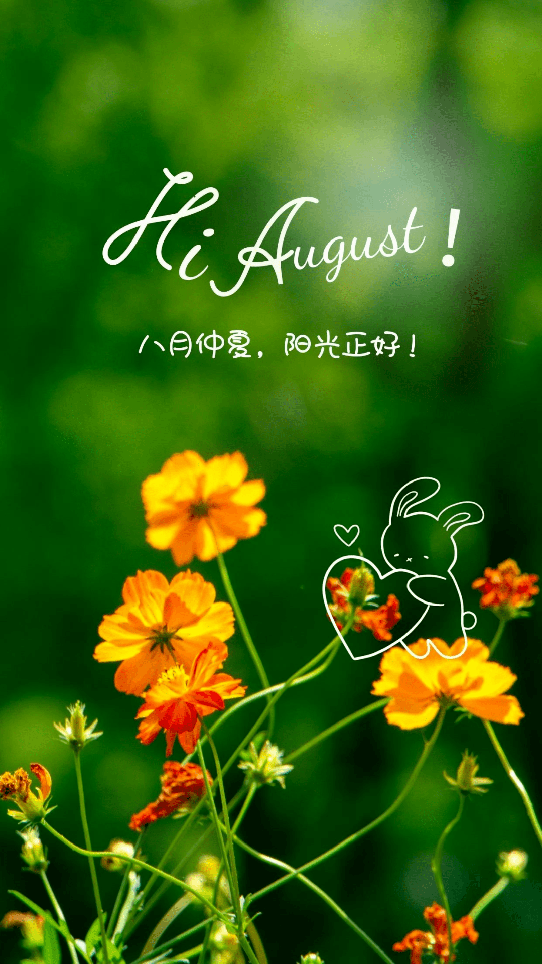 告别七月迎接八月七月别离一繁华八月又逢漫飞花