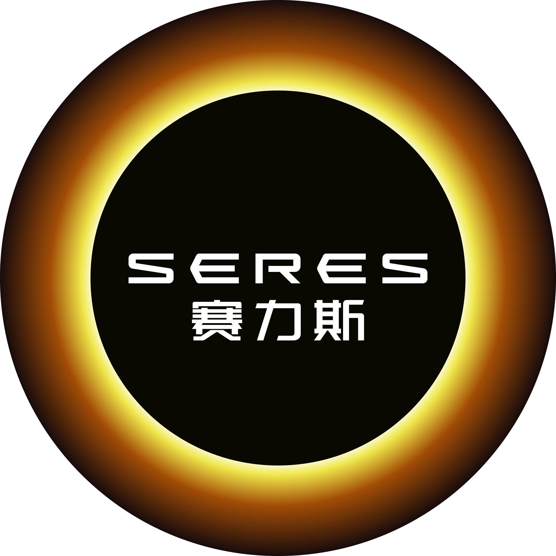 金康赛力斯logo图片