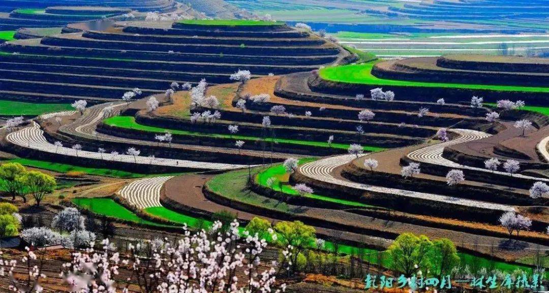 美丽市县丨中国最美旱作梯田——彭阳金鸡坪梯田公园_旅游_杨旭波