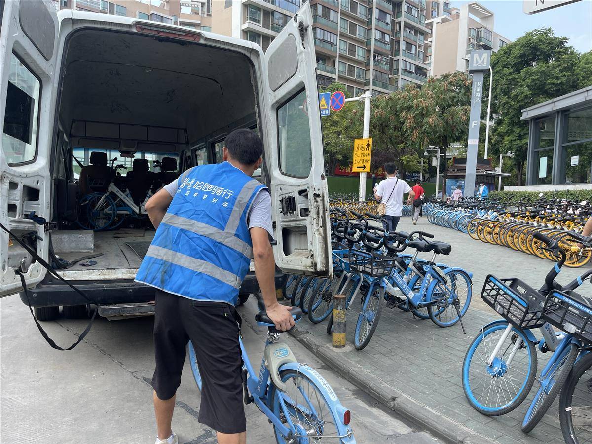 高温下的劳动者|共享单车调度员:为方便市民出行不惧"烤验"_王浩明