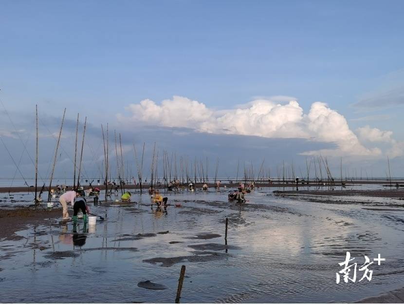 遂溪草潭：原生态乡村旅游请到滨海小镇来