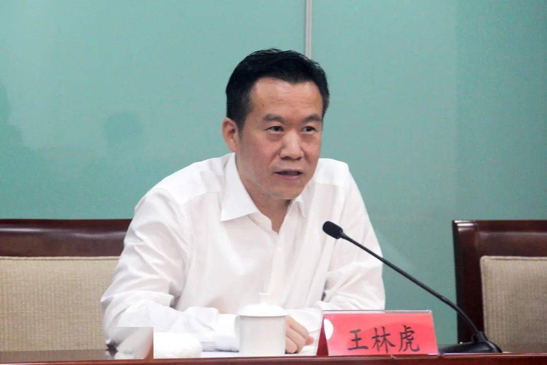 王林虎:全面加强政法机关党的政治建设 为政法工作高
