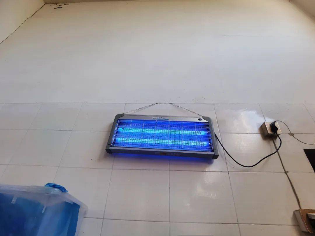 环境整洁后厨食材离地摆放整齐,冰箱内食材加盖保鲜膜消毒机正常使用